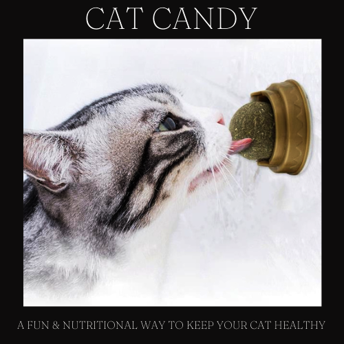 CAT CANDY ™