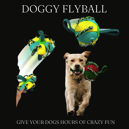 DOGGY FLYBALL