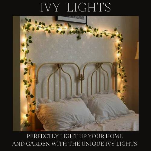 IVY LIGHTS ™